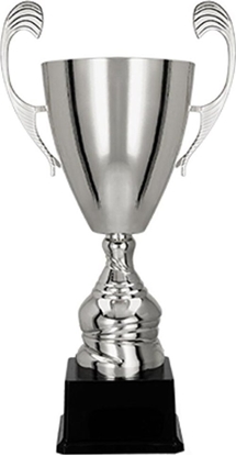 Attēls no Victoria Sport Puchar metalowy srebrny T-M