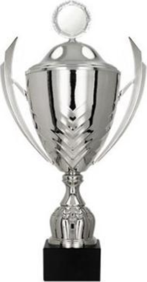 Picture of Victoria Sport Puchar metalowy z przykrywk