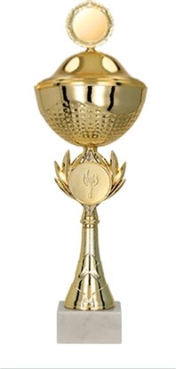 Attēls no Victoria Sport Puchar metalowy z przykrywk