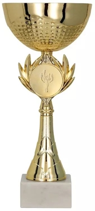 Attēls no Victoria Sport Puchar metalowy zoty