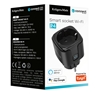 Изображение Viedā Wi-Fi elektro ligzda ar taimeru un releju | 3680W | 16 A | Tuya iOS, Android