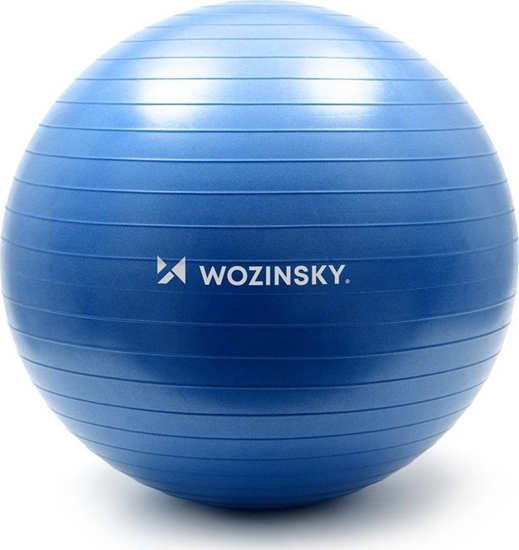 Picture of Wozinsky Wozinsky pika gimnastyczna 65 cm do wicze rehabilitacyjna niebieski