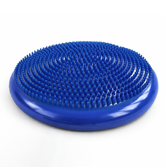 Изображение Wozinsky WPSD-01 sensory cushion for rehabilitatio