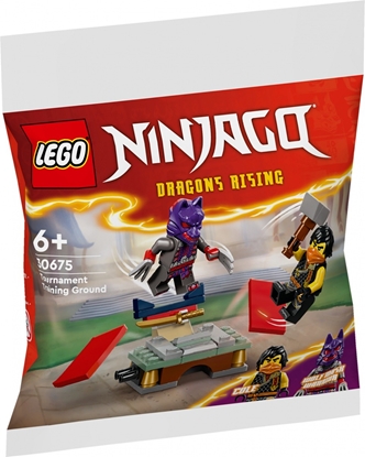 Picture of LEGO Ninjago Turniejowy teren szkoleniowy (30675)