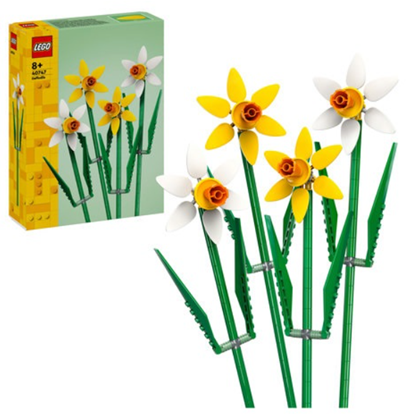 Picture of LEGO Icons onkile (40747)