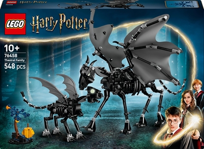 Picture of LEGO Harry Potter Rodzina testrali (76458)
