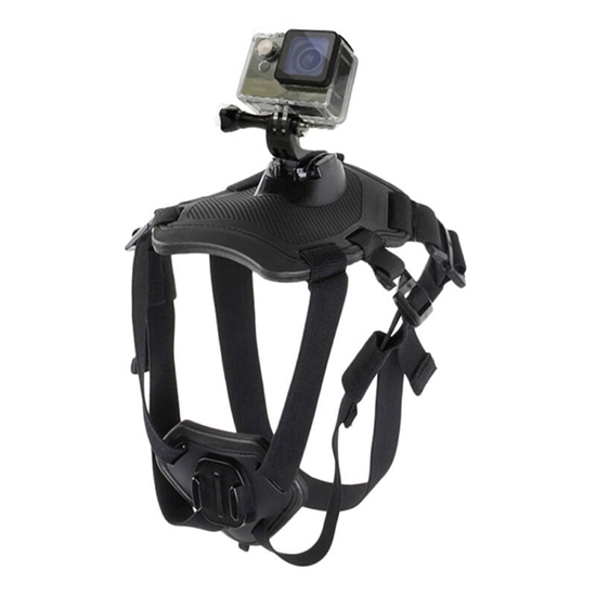 Picture of Puluz Mocowanie na grzbiet psa PULUZ do kamer sportowych (GoPro, Insta360, DJI Action)
