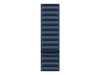 Picture of Apple 41mm Pacific Blue Magnetic Link - M/L | Apple