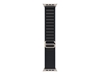 Picture of Apple 49mm Black Alpine Loop - Large - Natural Titanium Finish | Apple