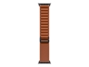 Picture of Apple 49mm Terra Cotta Alpine Loop - Medium - Black Titanium Finish | Apple