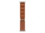 Изображение Apple 49mm Terra Cotta Alpine Loop - Medium - Natural Titanium Finish | Apple