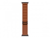 Picture of Apple 49mm Terra Cotta Alpine Loop - Small - Black Titanium Finish | Apple