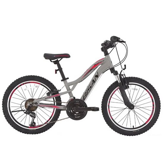 Изображение Bērnu velosipēds Bisan BUFFALO Light Grey/Black/Red (Rata izmērs: 24 Rāmja izmērs: 12)