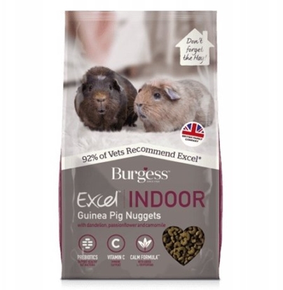 Picture of Burgess Burgess Excel Indoor Guinea Pig 1,5kg