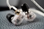 Picture of Campfire Audio Iris - Hybrydowe IEM Hi-Fi 1BA+1DD