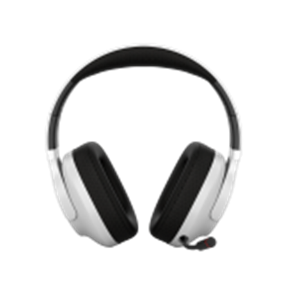Изображение CANYON CND-SGHS16W