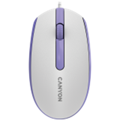 Picture of CANYON CNE-CMS10WL