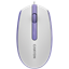 Picture of CANYON CNE-CMS10WL