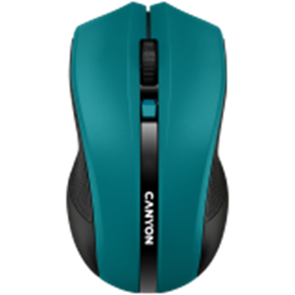 Изображение CANYON CNE-CMSW05G