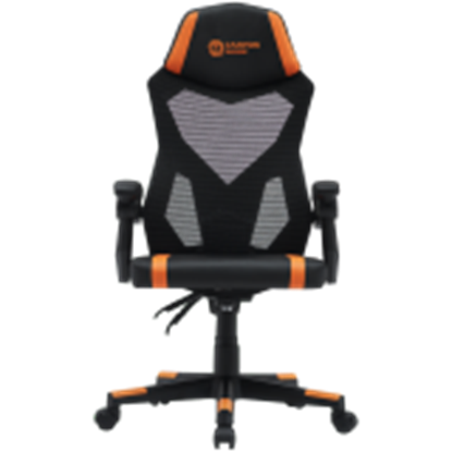 Изображение CANYON CNE-MCH01