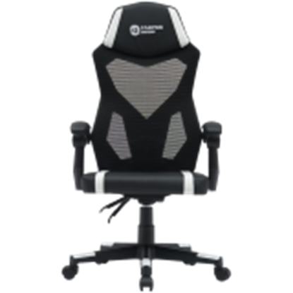 Изображение CANYON CNE-MCH01W