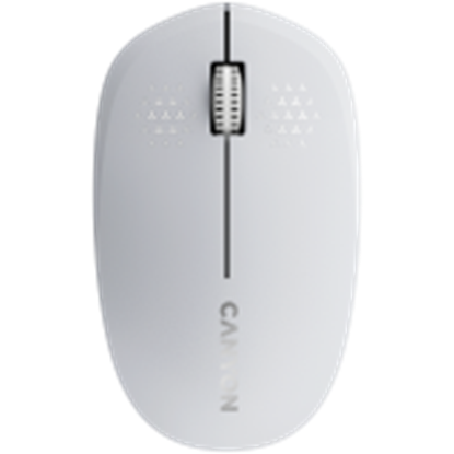 Изображение CANYON CNS-CMSW04W