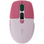 Picture of CANYON CNS-CMSW26P