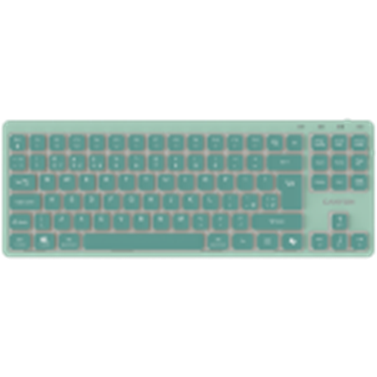 Picture of CANYON CNS-HKB10GR
