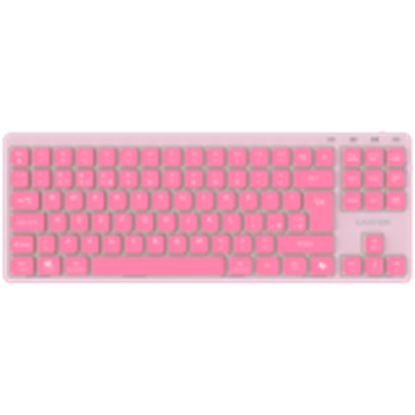 Picture of CANYON CNS-HKB10P