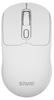 Picture of Datorpele Savio MB-04 Silent USB-C/2.4GHz/BT White