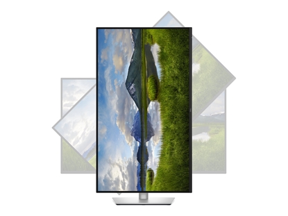 Picture of Dell P3225QE | 32 " | IPS | 4K UHD | 16:9 | 100 Hz | 5 ms | 3840 x 2160 pixels | 350 cd/m² | HDMI ports quantity 1 | Warranty 60 month(s)