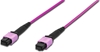 Picture of Digitus Fiber Optic Patchcord, MPO, Female, OM4, Method A, 20m