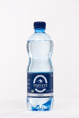 Picture of Dzeramais ūdens TĒRVETE, gāzēts, 0.5l