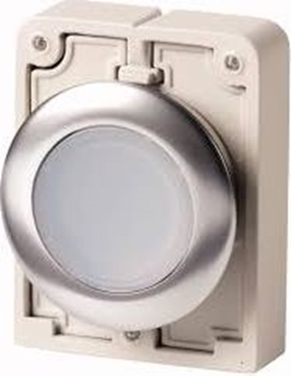 Attēls no Eaton Napd przycisku 30mm paski biay z podwietleniam z samopowrotem M30C-FDL-W 182925 M30C-FDL-W (182925)