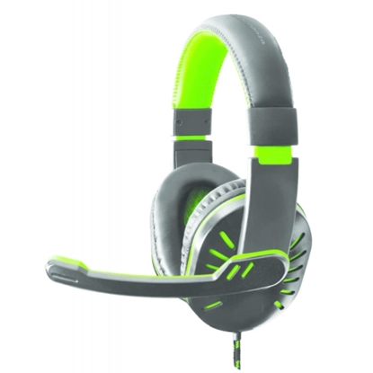 Изображение Esperanza EGH330G STEREO HEADPHONES WITH MICROPHONE