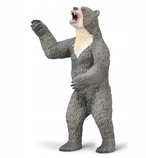 Изображение Figurka Collecta COLLECTA ARCTODUS