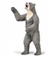 Picture of Figurka Collecta COLLECTA ARCTODUS