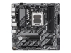 Picture of GIGABYTE B850M D3HP AM5 MB