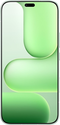 Picture of Honor 600 Lite Smartphone 8GB / 256G Green