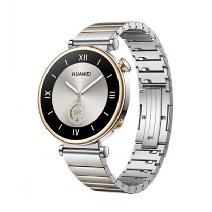Изображение HUAWEI WATCH GT 4 (41MM) STAINLESS STEEL, DEMO