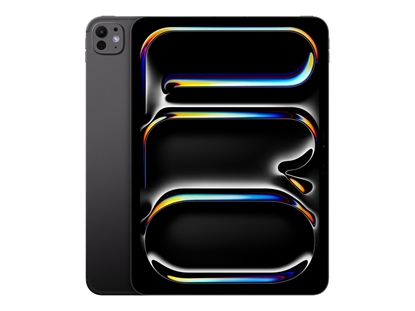 Picture of iPad Pro 11-calowy Wi-Fi + Cellular 2 TB ze szkłem standardowym - Gwiezdna czerń