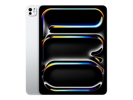 Picture of iPad Pro 13 cali Wi-Fi 256 GB ze standardowym szkłem - Srebrny