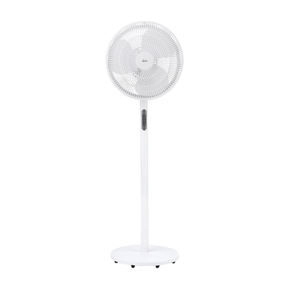 Picture of Jata JVVP3061