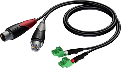 Изображение Kabel Audac ML Kabel sygnaowy AUDAC CLA835/1.5 (1,5m)