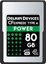 Picture of Karta Delkin Power VPG400 CFexpress 80 GB  (DCFXAPWR80)
