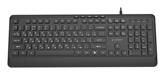 Picture of Klaviatūra Gembird Slim Multimedia USB-A+C RU