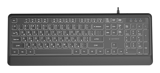 Picture of Klaviatūra Gembird Slim Backlight USB-A+C RU