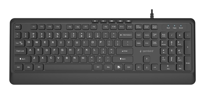 Attēls no Klaviatūra Gembird Slim Multimedia USB-A+C US