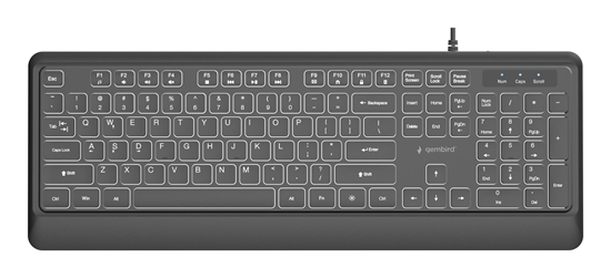 Picture of Klaviatūra Gembird Slim Backlight USB-A+C US