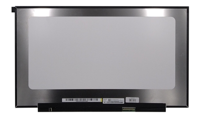 Picture of LCD Screen 17.3" 1920x1080, FHD, LED, IPS, 144Hz, matte, 40 pin (right), A+